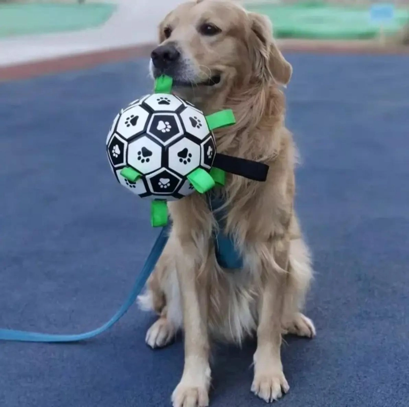 BALON DE FUTBOL INTERACTIVO PARA PERROS CON ASA Y CUERDA - 7