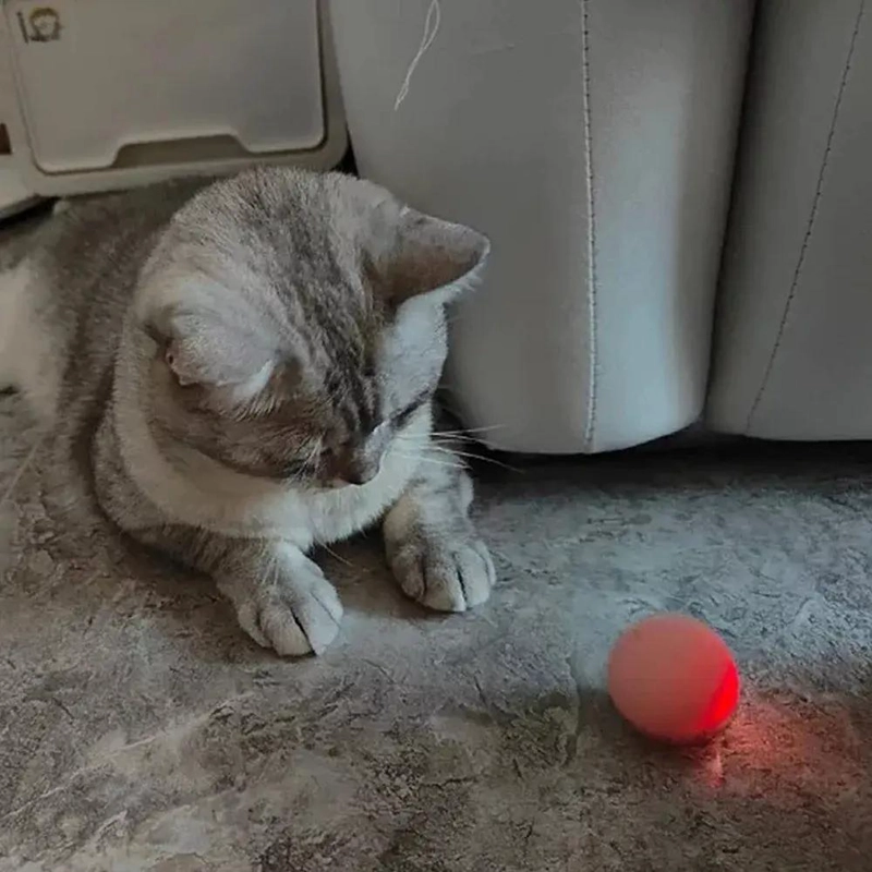 PELOTA AUTOMATICA INTERACTIVA PARA MASCOTAS - 5