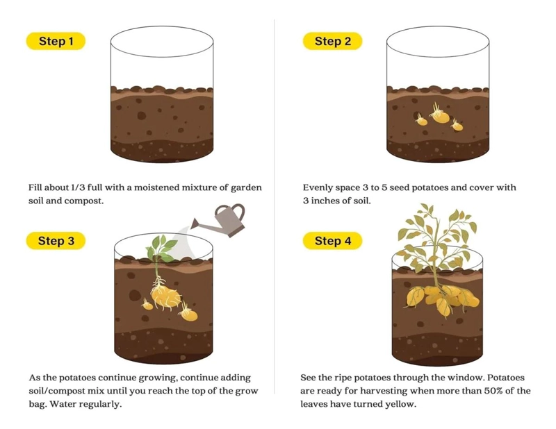 PACK DE 5 MACETAS DE FIELTRO PARA CULTIVO DE PATATAS Y TOMATES - 4