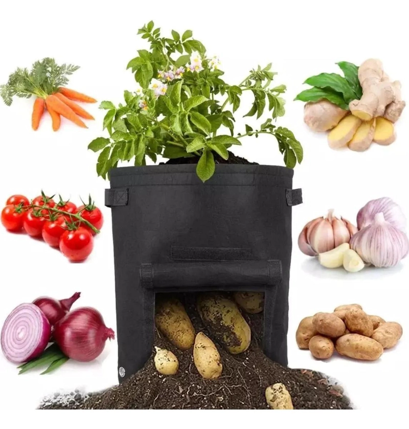 PACK DE 5 MACETAS DE FIELTRO PARA CULTIVO DE PATATAS Y TOMATES - 9