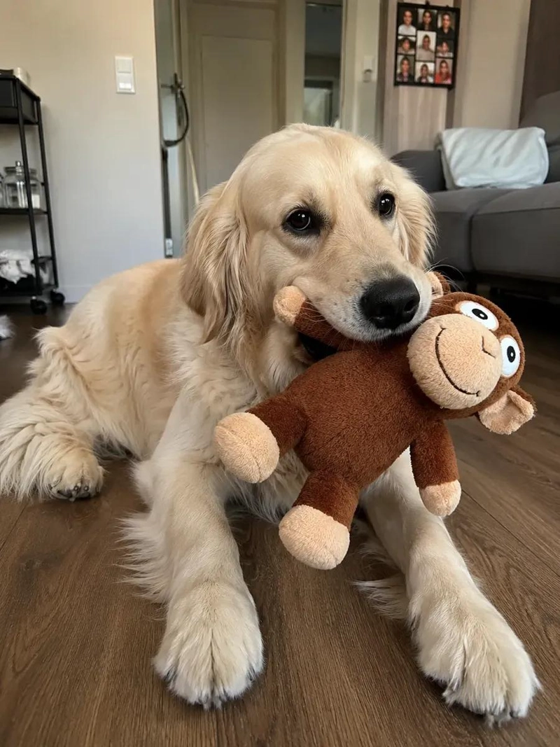 PELUCHE MONO ULTRASONICO PARA PERROS PEQUEÑOS Y MEDIANOS - 2