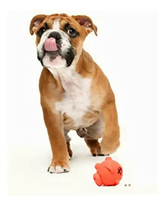 DISPENSADOR INTERACTIVO DE DULCES PARA PERROS - 2