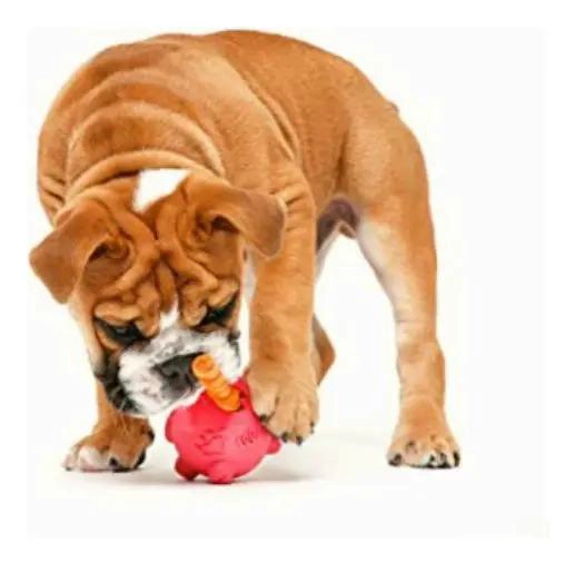 DISPENSADOR INTERACTIVO DE DULCES PARA PERROS - 4