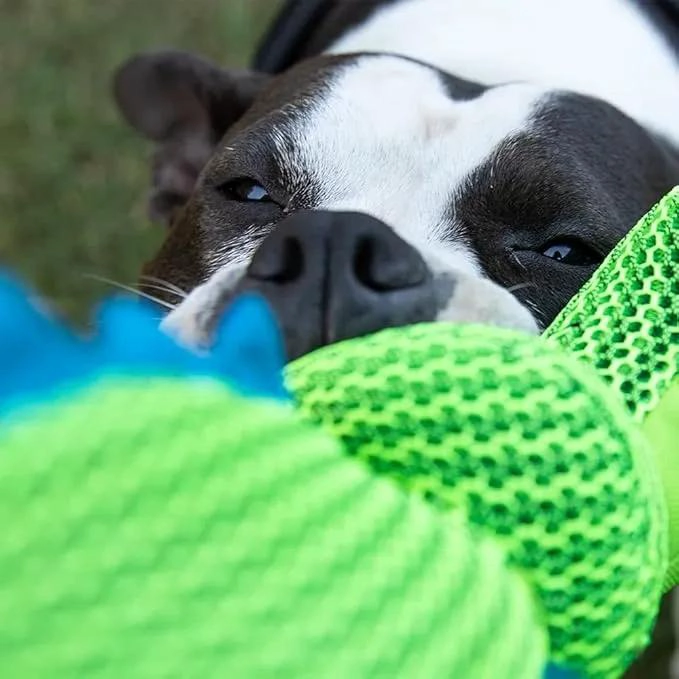 PELUCHE INTERACTIVO PARA PERROS COCODRILO 45 CM - 2
