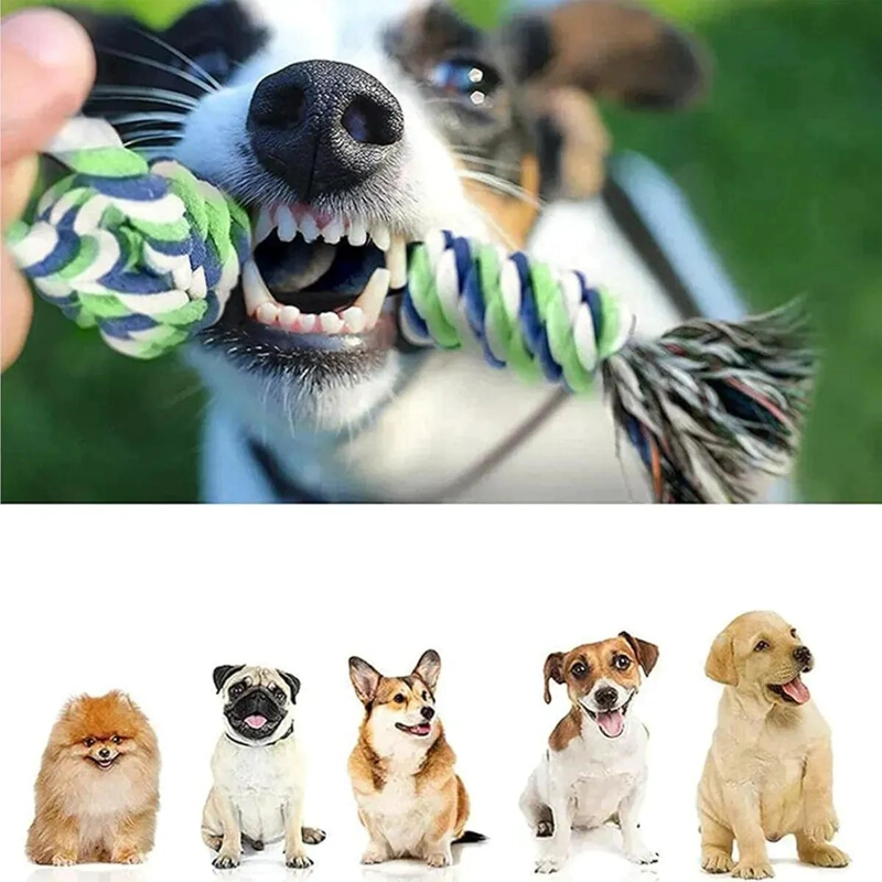 SET DE 10 JUGUETES INTERACTIVOS PARA PERROS DE ALGODON - 7