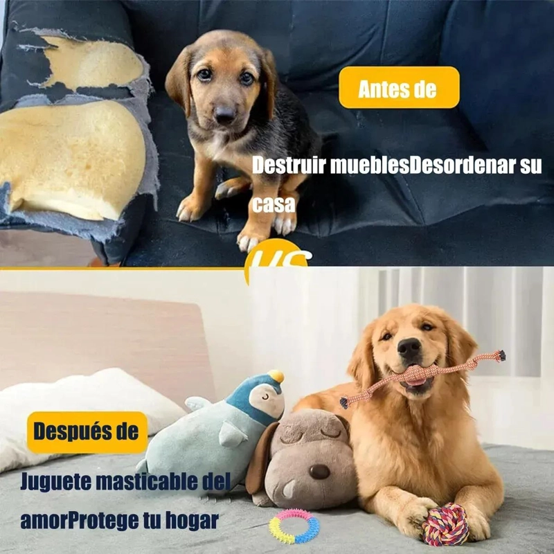 SET DE 10 JUGUETES INTERACTIVOS PARA PERROS DE ALGODON - 3