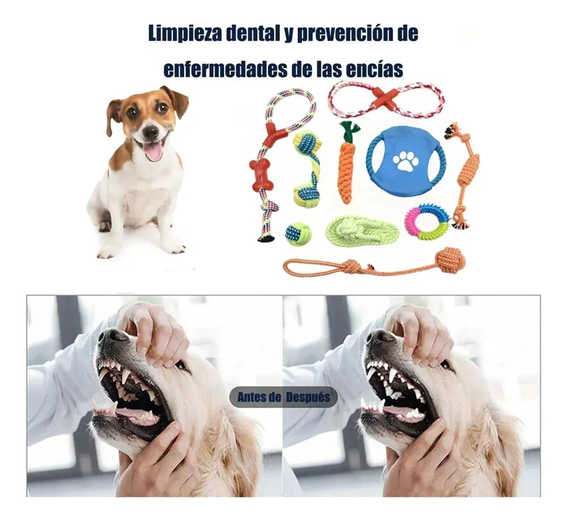 SET DE 10 JUGUETES INTERACTIVOS PARA PERROS DE ALGODON - 4