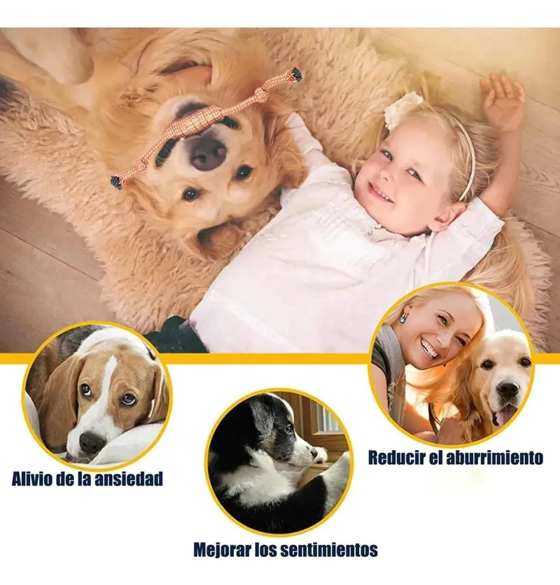 SET DE 10 JUGUETES INTERACTIVOS PARA PERROS DE ALGODON - 5