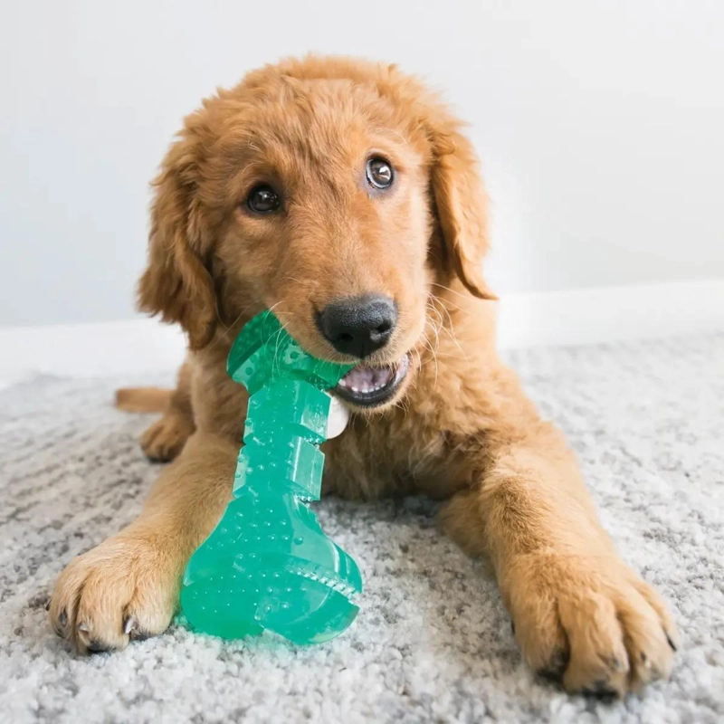 HUESO DENTAL TEXTURIZADO PARA PERROS TALLA M - 1