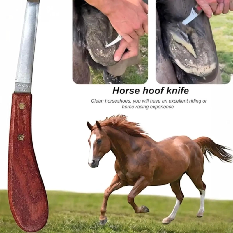 CUCHILLO DESPALMADORA DERECHO DOBLE FILO - 4