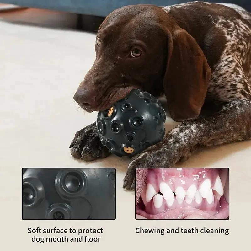 PELOTA DE JUGUETE PARA PERROS CON SONIDO ESTIMULANTE - 5
