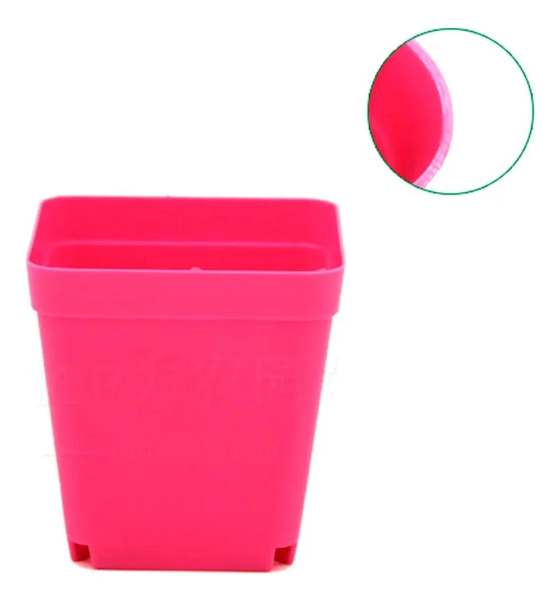 SET DE 150 MACETEROS CUADRADOS PARA CACTUS Y SUCULENTAS 7X7X8 CM - 3