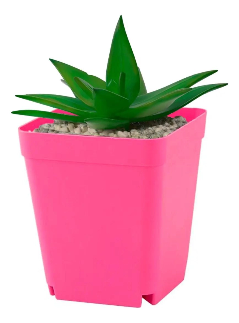 SET DE 150 MACETEROS CUADRADOS PARA CACTUS Y SUCULENTAS 7X7X8 CM - 7