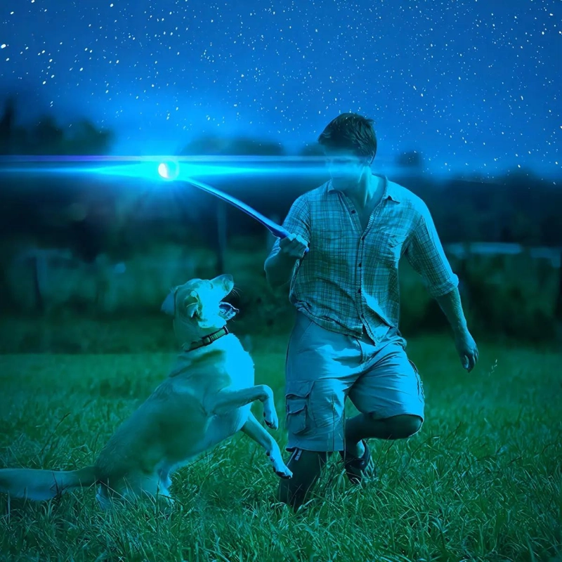 PELOTA BRILLANTE PARA PERROS QUE BRILLA EN LA OSCURIDAD - 1