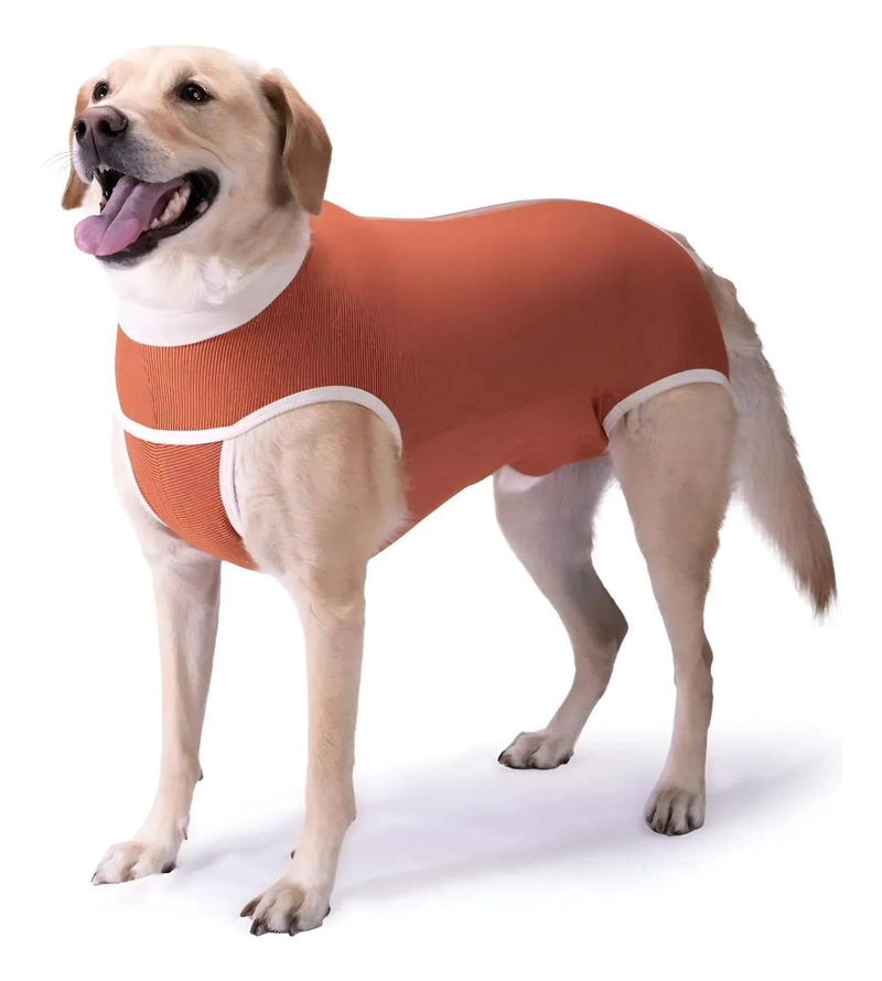 BODY DE PROTECCION PARA PERROS MACHOS TALLA 1 (2,5 A 3,5 KG) - 1
