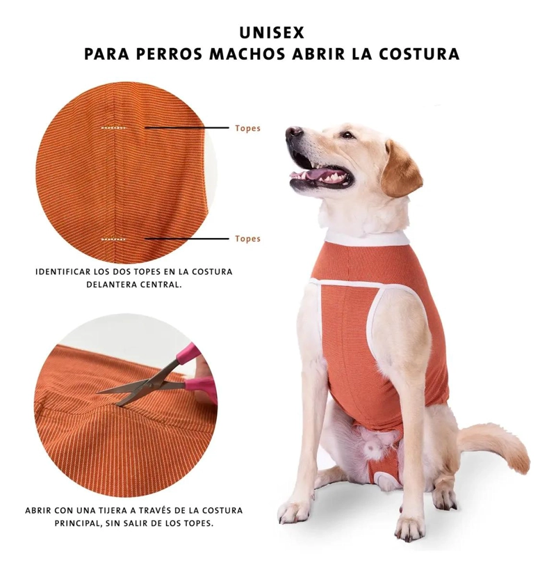 BODY DE PROTECCION PARA PERROS MACHOS TALLA 1 (2,5 A 3,5 KG) - 4