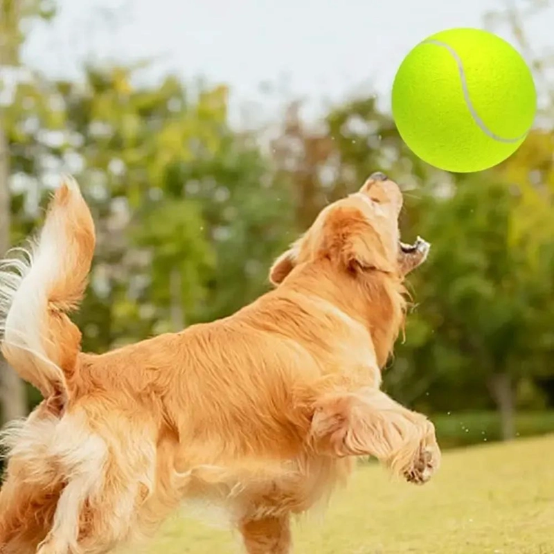 PELOTA DE TENIS GIGANTE PARA MASCOTAS DE 24 CM IDEAL PARA PERROS - 8