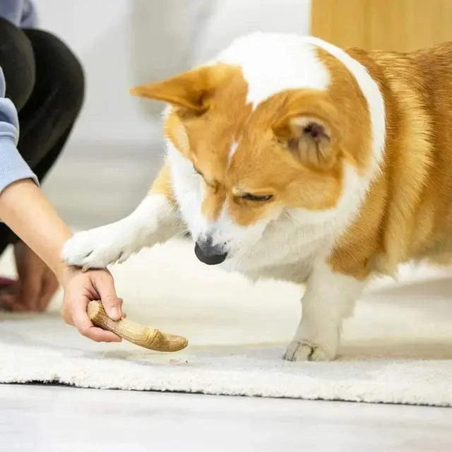 JUGUETE MASTICABLE PARA PERROS DE MADERA NATURAL GRANDE - 2
