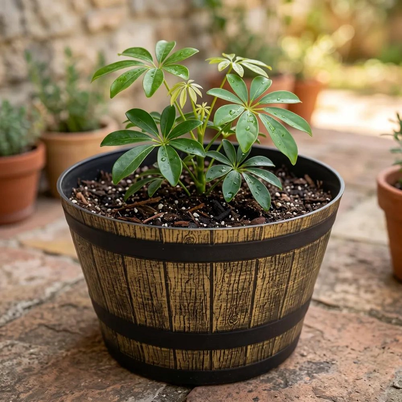 MACETERO PLASTICO EFECTO BARRIL PARA PLANTAS PEQUEÑAS - 3
