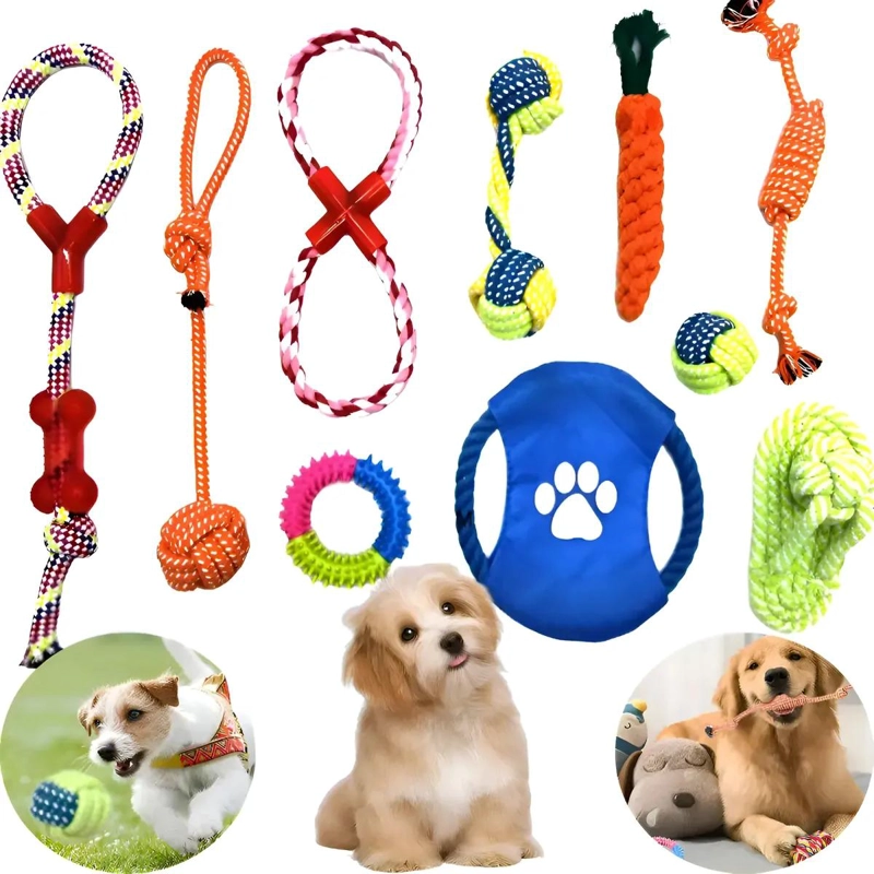 SET DE 10 JUGUETES INTERACTIVOS DE CUERDA PARA MASCOTAS - 1