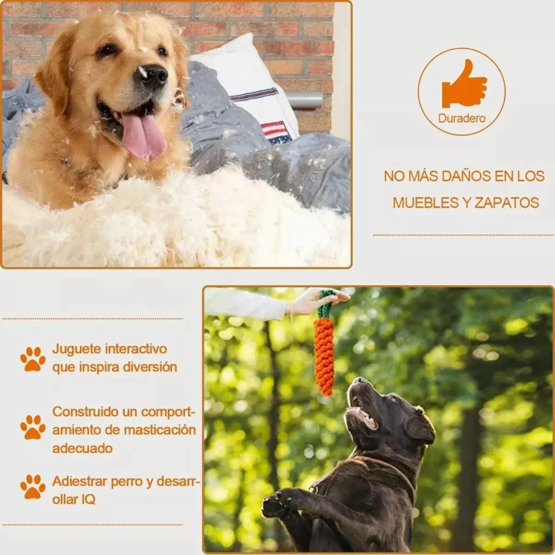 SET DE 10 JUGUETES INTERACTIVOS DE CUERDA PARA MASCOTAS - 4