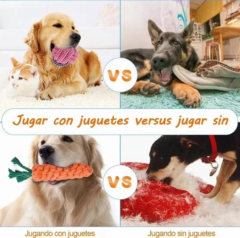 SET DE 10 JUGUETES INTERACTIVOS DE CUERDA PARA MASCOTAS - 5