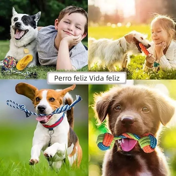 SET DE 10 JUGUETES INTERACTIVOS DE CUERDA PARA MASCOTAS - 6