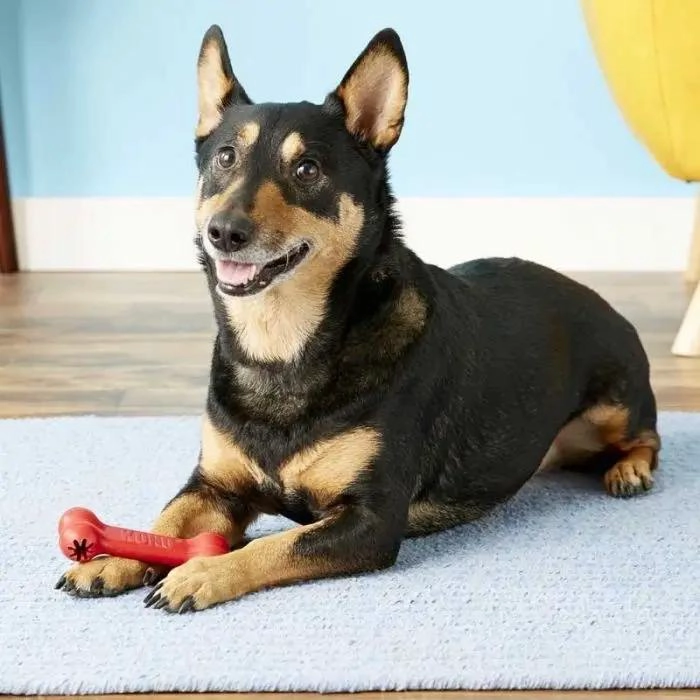 HUESO DE JUGUETE PARA PERROS PEQUEÑOS DE GOMA RESISTENTE - 1