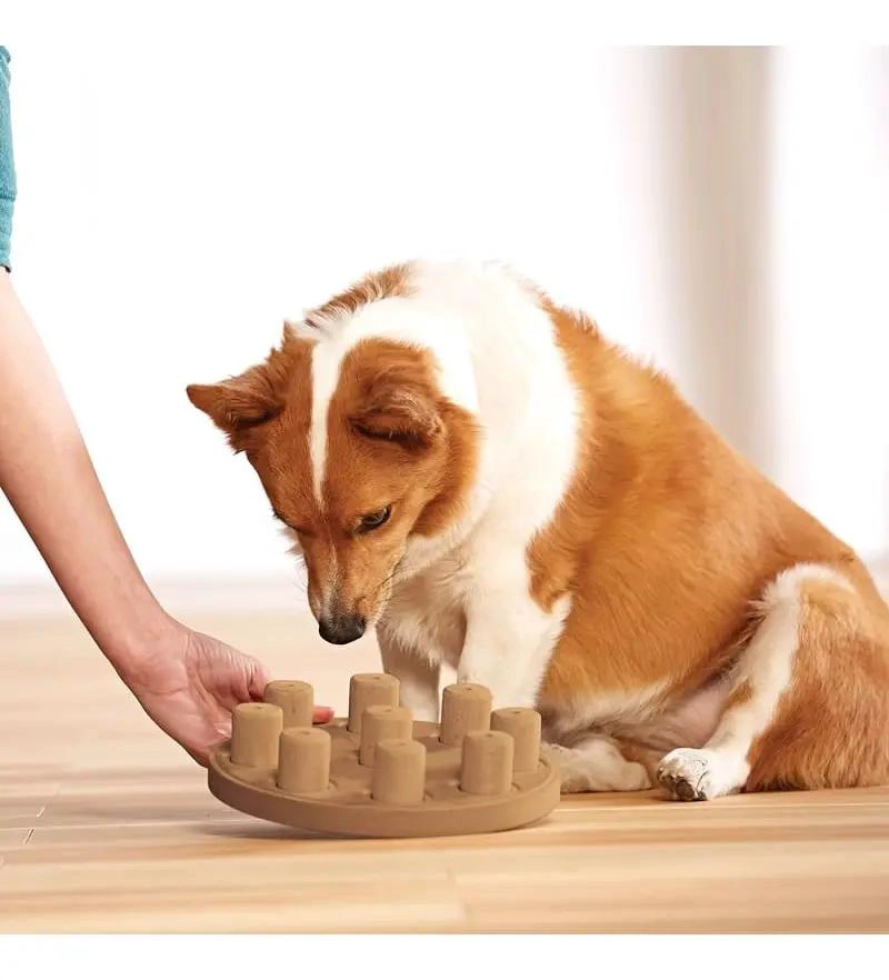 PUZZLE EDUCATIVO PARA PERROS NIVEL 1 INTERACTIVO - 2