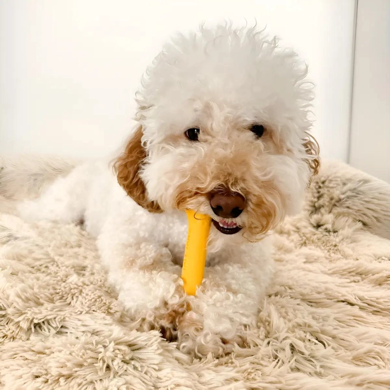 HUESO DE CAUCHO NATURAL PARA PERROS IDEAL PARA JUGAR - 1