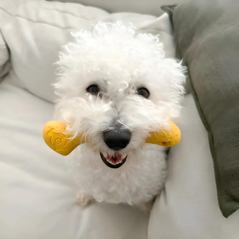 HUESO DE CAUCHO NATURAL PARA PERROS IDEAL PARA JUGAR - 2