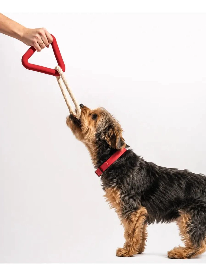 JUGUETE TRIANGULO DE GOMA NATURAL Y CUERDA PARA PERROS - 1