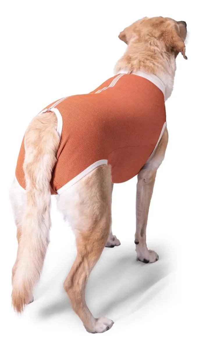 BODY PARA CASTRACION DE PERRO MACHO TALLA 2 (3,5 A 4,5 KG) - 2