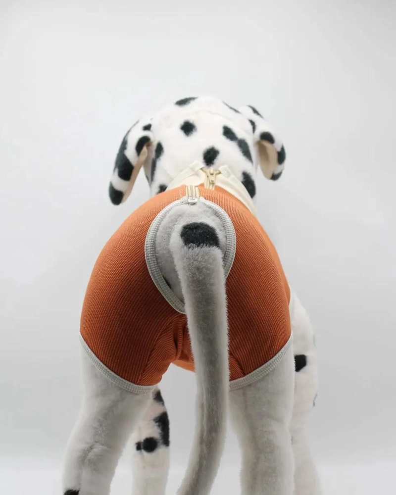 BODY PARA CASTRACION DE PERRO MACHO TALLA 2 (3,5 A 4,5 KG) - 3