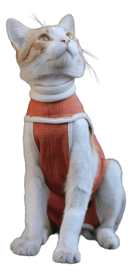 BODY COBRE PARA PERROS Y GATOS T.0 (1.5 A 2.5 KG) - 2