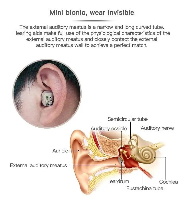 AUDIFONO INVISIBLE PARA SORDERA SEVERA CON KIT DE LIMPIEZA - 6