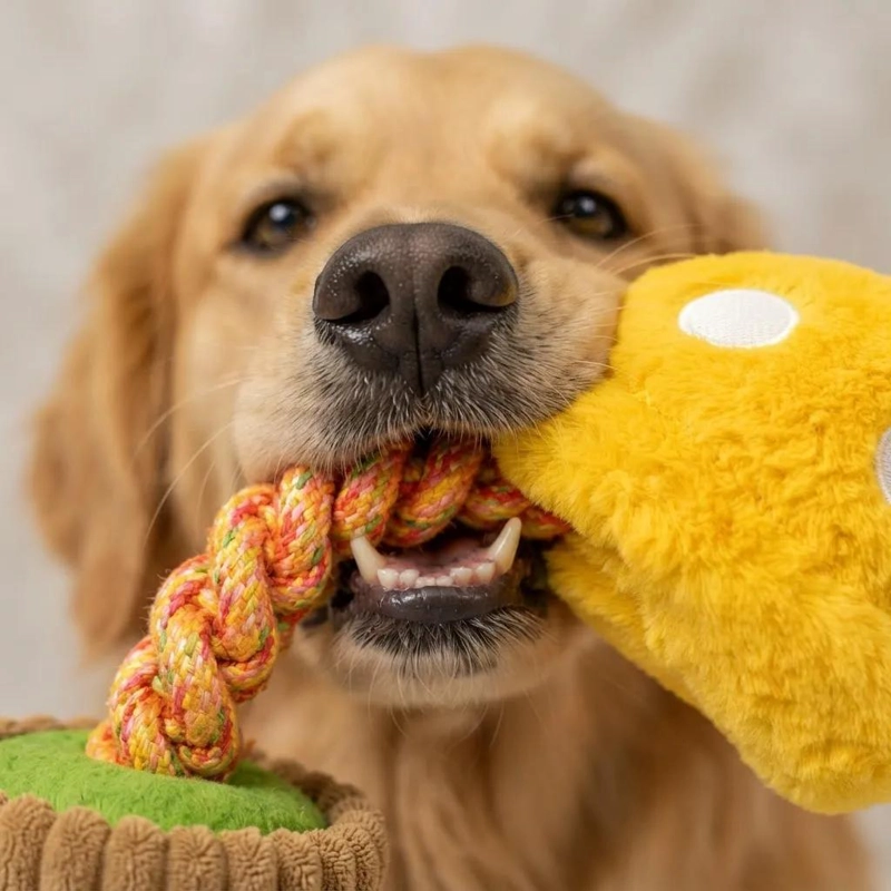 JUGUETE DE PELUCHE RESISTENTE PARA PERROS DE 35 CM - 6