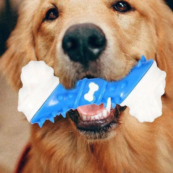 HUESO DE POLLO DE NYLON Y TPR PARA PERROS DE 12.5 CM - 6