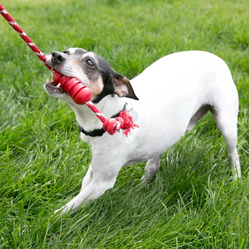 JUGUETE DENTAL CON CUERDA PARA PERROS TALLA S - 2