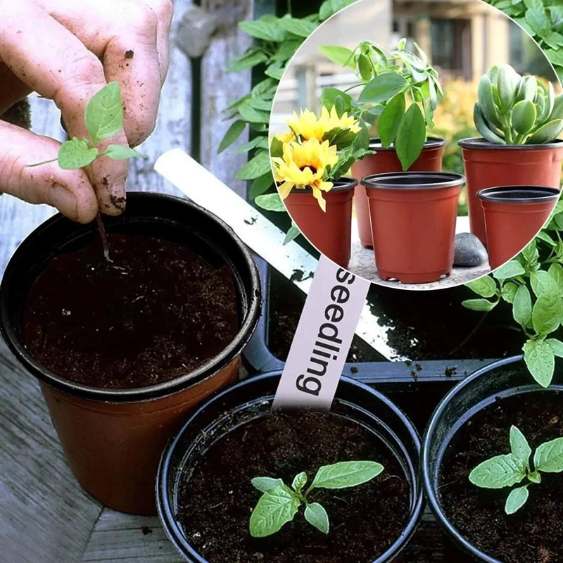 80 MACETAS DE PLASTICO PARA VIVERO DE 14X12 CM - 6