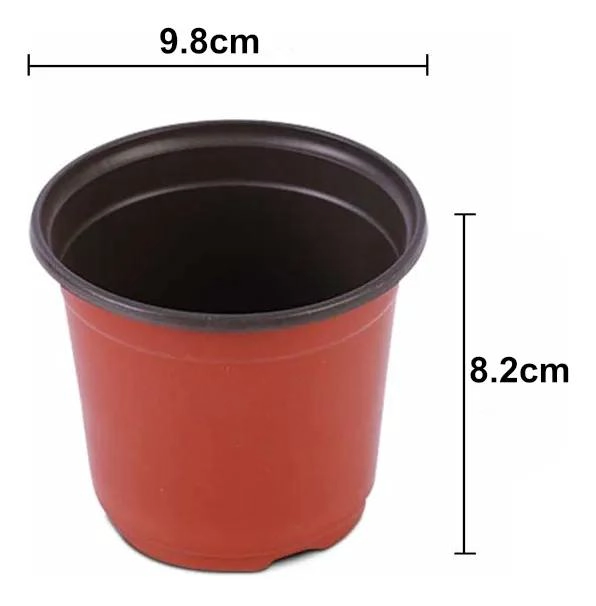 MACETAS DE PLASTICO PARA SEMILLEROS 9.8X8.2CM 100 UNIDADES - 2