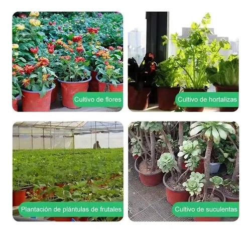 MACETAS DE PLASTICO PARA SEMILLEROS 9.8X8.2CM 100 UNIDADES - 8