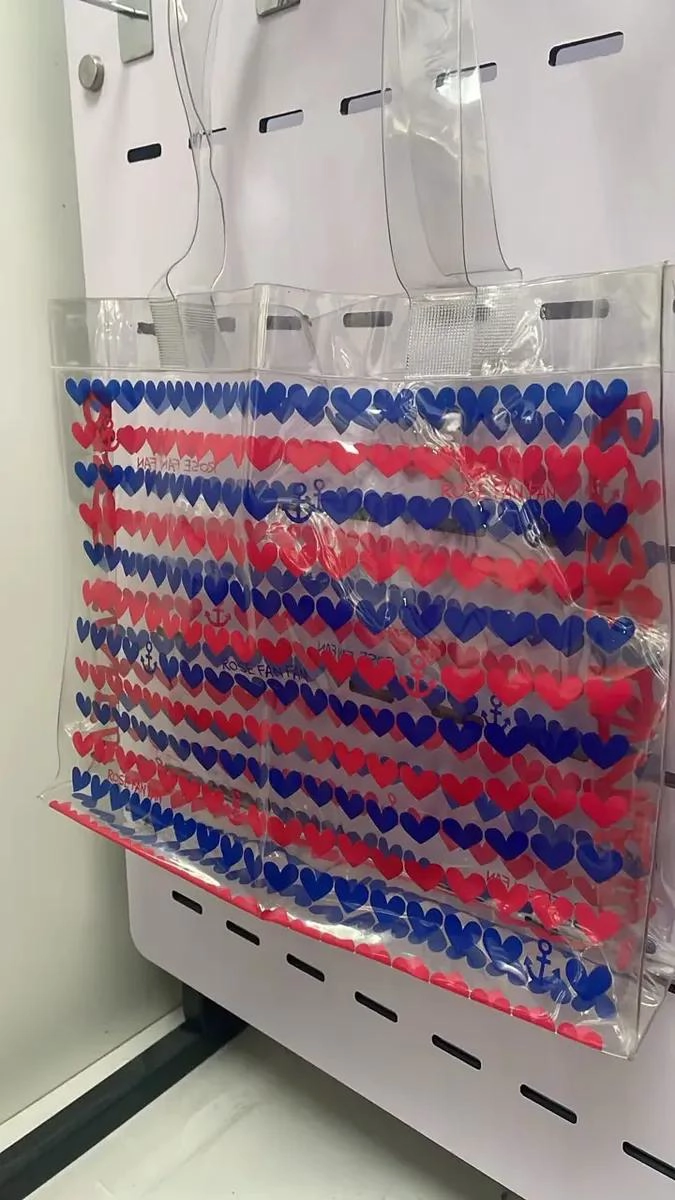 JUEGO DE 12 BOLSAS ORGANIZADORAS PARA MAQUILLAJE - 2