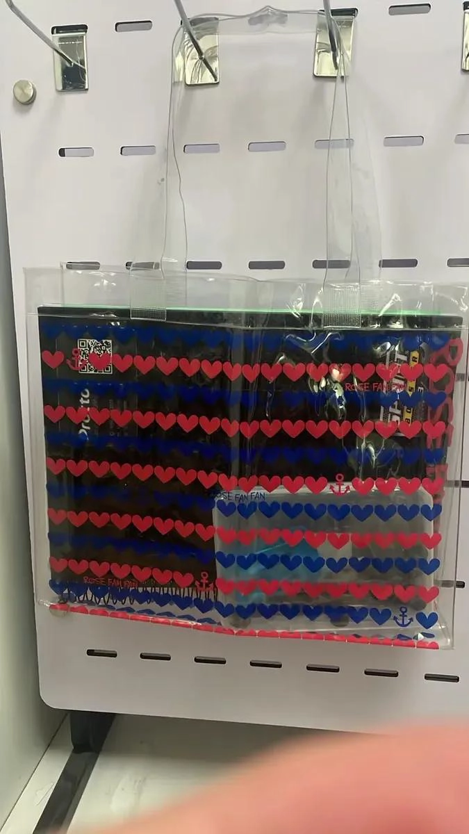 JUEGO DE 12 BOLSAS ORGANIZADORAS PARA MAQUILLAJE - 3