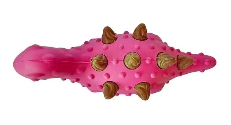 JUGUETE DENTAL ESTEGOSAURIO 2 EN 1 PARA PERROS - 1