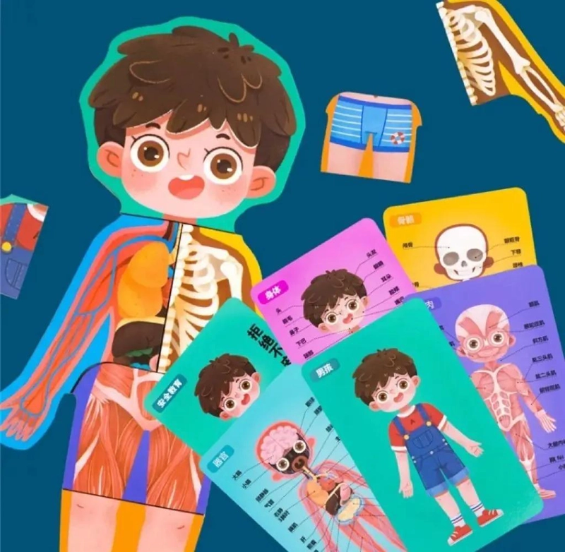 ROMPECABEZAS DE MADERA EDUCATIVO CUERPO HUMANO PARA NIÑOS - 1