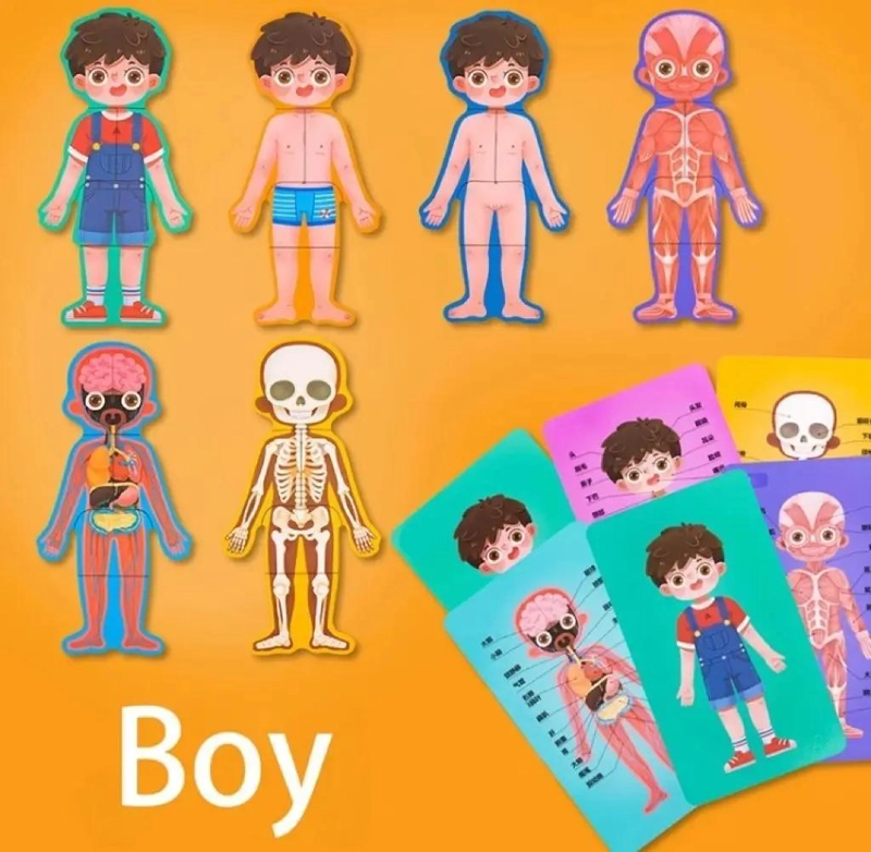 ROMPECABEZAS DE MADERA EDUCATIVO CUERPO HUMANO PARA NIÑOS - 3