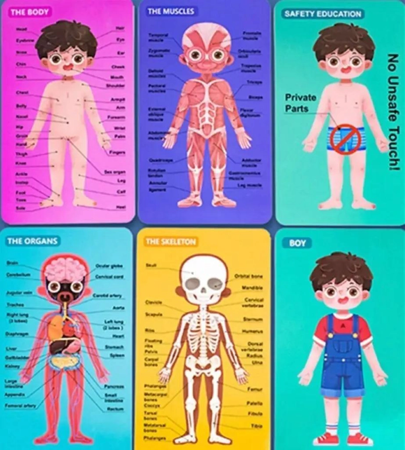 ROMPECABEZAS DE MADERA EDUCATIVO CUERPO HUMANO PARA NIÑOS - 4