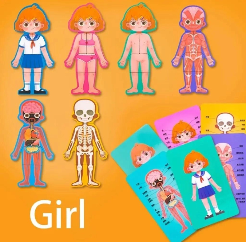 ROMPECABEZAS DE MADERA EDUCATIVO CUERPO HUMANO PARA NIÑOS - 5