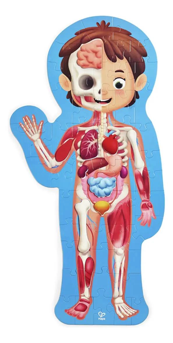 ROMPECABEZAS EDUCATIVO DEL CUERPO HUMANO PARA NIÑOS - 4